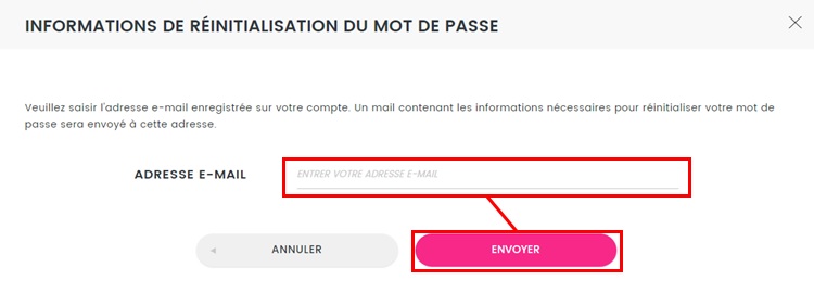Resetting_Your_Password_fr.jpg